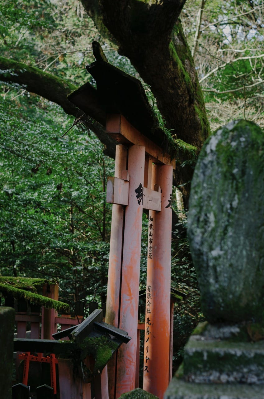 Превью Kyoto 2024